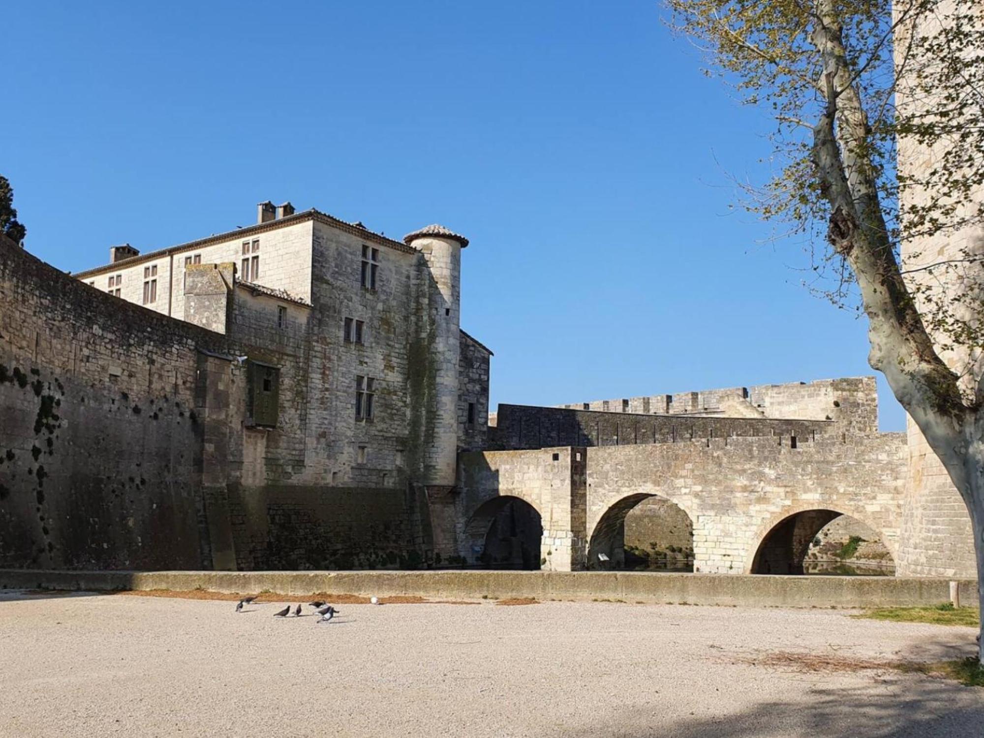 Maison Cosy, 2 Chambres, Adossee Aux Remparts Aigues-Mortes Extérieur photo